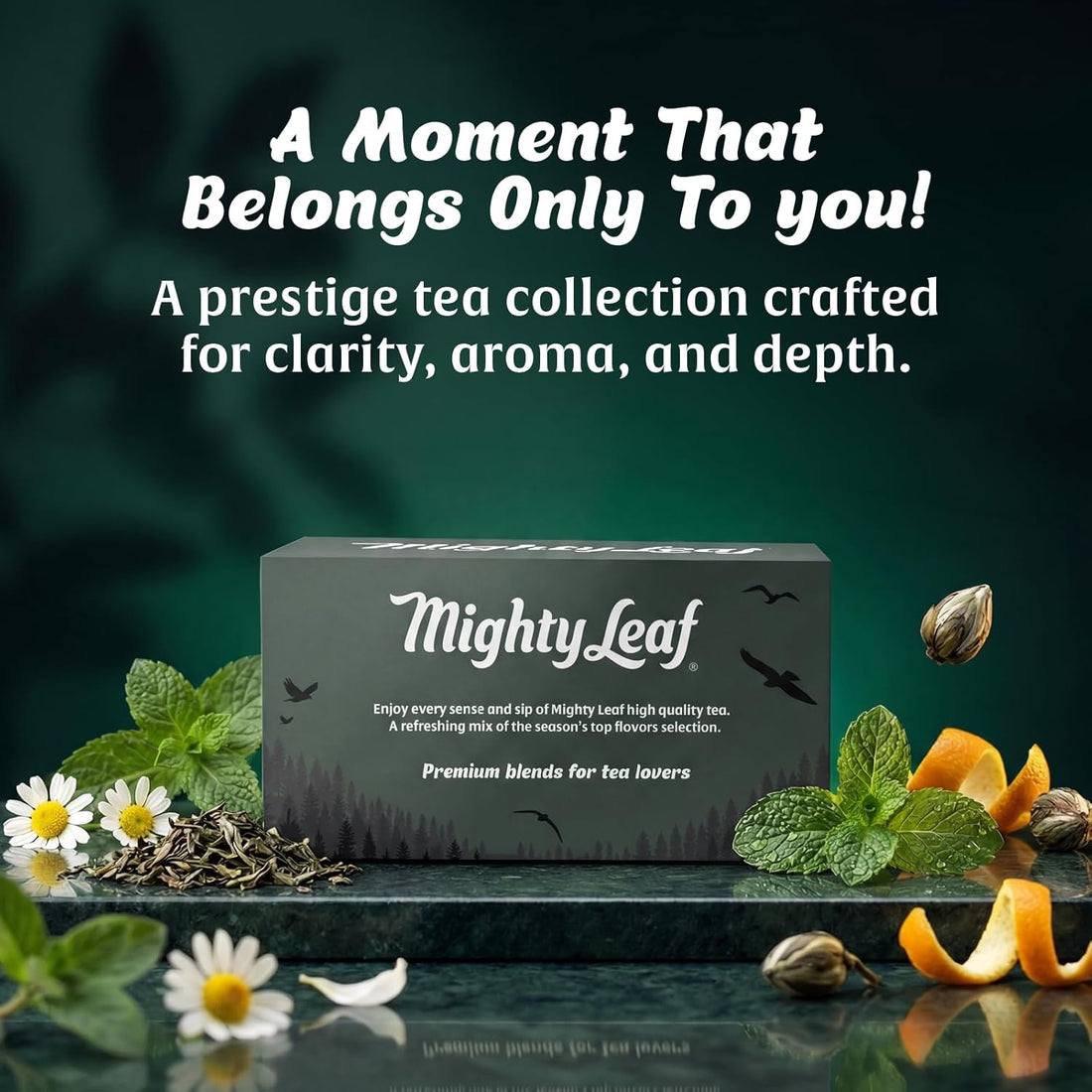 TEA--Mighty Leaf Organic Tea Sampler – 40 Count Silken Tea Bags – 8 Assorted Flavors: Tropical Green, Chamomile Citrus, Earl Grey, Vanilla Bean, White Orchard, Breakfast, Spring Jasmine, African Nectar – TCoU Recommendations from Amazon Products